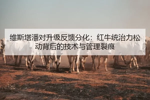 维斯塔潘对升级反馈分化：红牛统治力松动背后的技术与管理裂痕