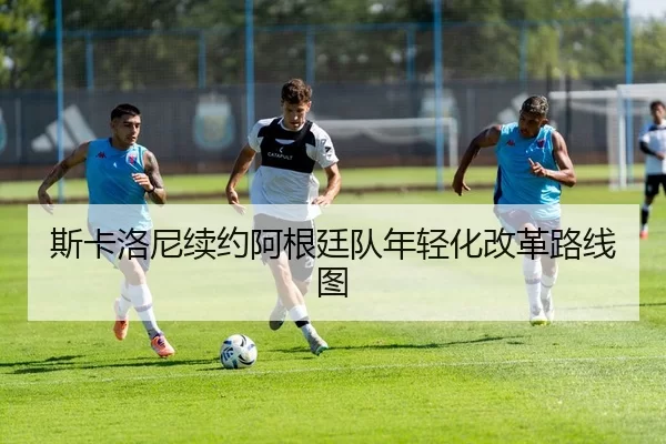 si-ka-luo-ni-xu-yue-a-gen-ting-dui-nian-qing-hua-gai-ge-lu-xian-tu-2-195.jpg